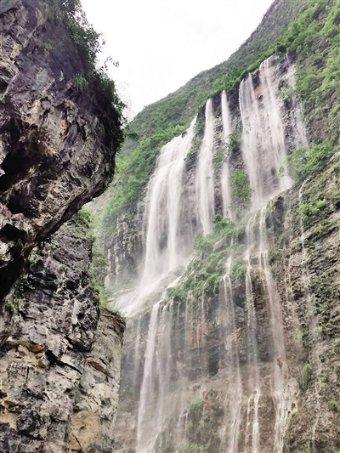 海南三亚：短肢领航鲸沙滩搁浅 ，多方合力救援